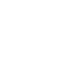 NP Digital