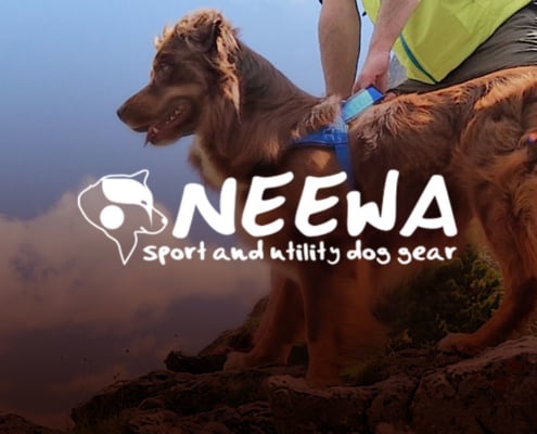 Neewa